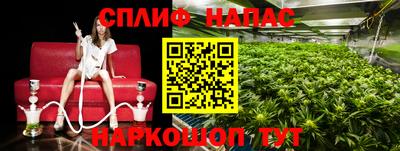 ешки Шебекино