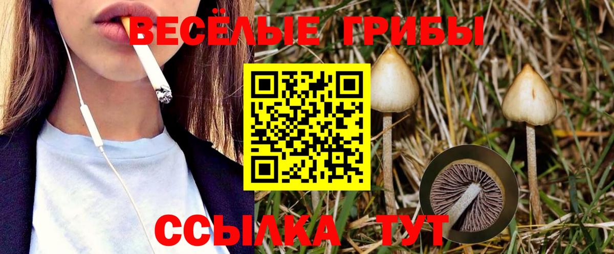 Псилоцибиновые грибы Psilocybine cubensis  где купить наркоту  Псилоцибиновые грибы GOLDEN TEACHER  Белая Калитва  Вход с VPN 